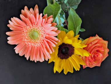 Koyu arkaplanda güzel, taze çiçeklerin manzarasını kapat