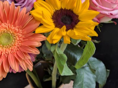 Koyu arkaplanda güzel, taze çiçeklerin manzarasını kapat