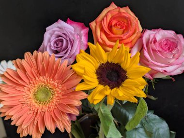 Koyu arkaplanda güzel, taze çiçeklerin manzarasını kapat