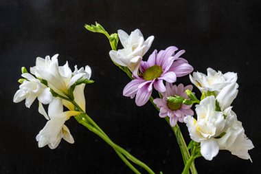 Koyu arkaplanda güzel, taze çiçeklerin manzarasını kapat