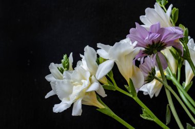 Koyu arkaplanda güzel, taze çiçeklerin manzarasını kapat