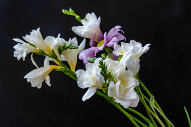 Koyu arkaplanda güzel, taze çiçeklerin manzarasını kapat