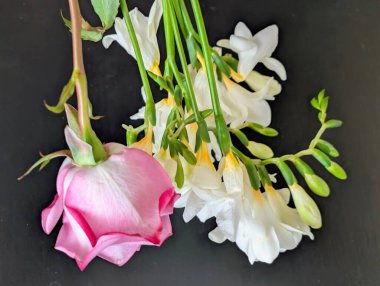Siyah arkaplanda pembe gül ve frezya çiçekleri 