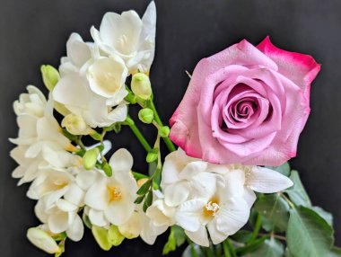 Siyah arkaplanda pembe gül ve frezya çiçekleri 