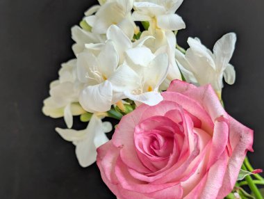 Siyah arkaplanda pembe gül ve frezya çiçekleri 