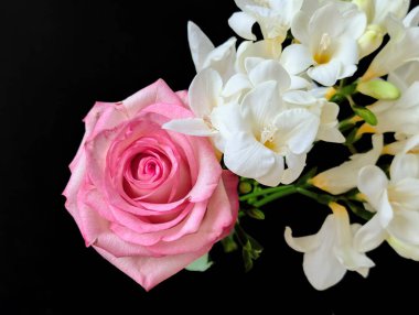 Siyah arkaplanda pembe gül ve frezya çiçekleri 