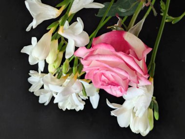 Siyah arkaplanda pembe gül ve frezya çiçekleri 