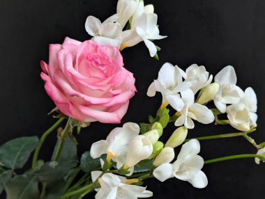 Siyah arkaplanda pembe gül ve frezya çiçekleri 