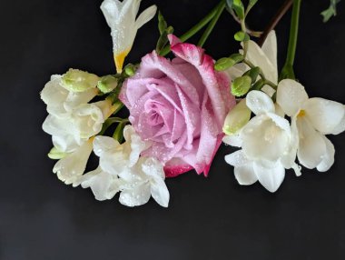 gül ve frezya çiçekleri siyah arkaplanda 