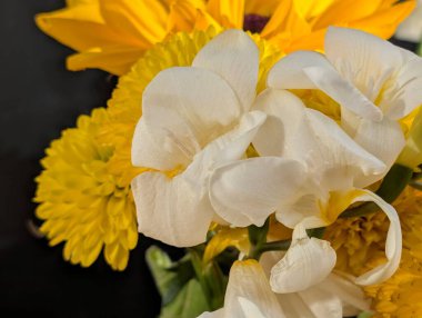 Bir buket çiçek kasımpatı ve frezya 