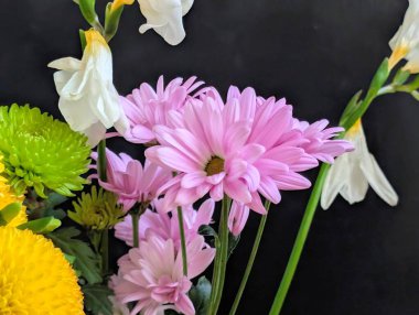 Bir buket çiçek kasımpatı ve frezya 