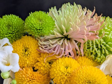 Bir buket çiçek kasımpatı ve frezya 