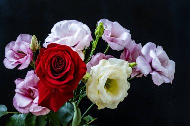 Östoma ve gül çiçekleri siyah arkaplanda