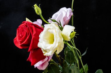 Östoma ve gül çiçekleri siyah arkaplanda