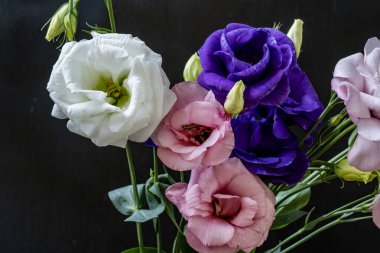 Mutluluk ve gül çiçekleri kapanıyor.