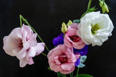 Mutluluk ve gül çiçekleri kapanıyor.