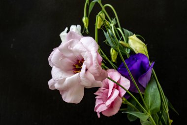 Mutluluk ve gül çiçekleri kapanıyor.