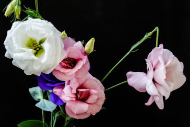 Mutluluk ve gül çiçekleri kapanıyor.