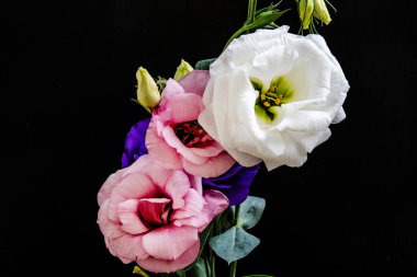 Mutluluk ve gül çiçekleri kapanıyor.