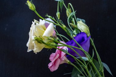 Mutluluk ve gül çiçekleri kapanıyor.