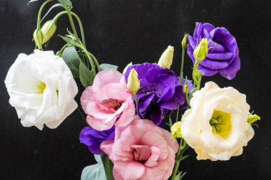 Mutluluk ve gül çiçekleri kapanıyor.