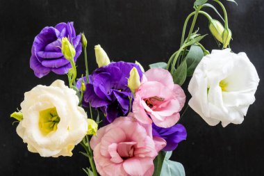 Mutluluk ve gül çiçekleri kapanıyor.