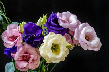 Mutluluk ve gül çiçekleri kapanıyor.