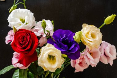 Mutluluk ve gül çiçekleri kapanıyor.