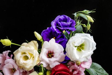 Mutluluk ve gül çiçekleri kapanıyor.