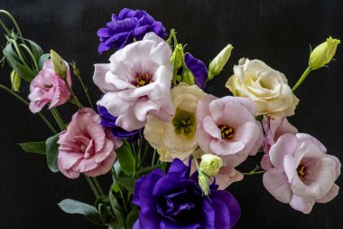 Mutluluk ve gül çiçekleri kapanıyor.