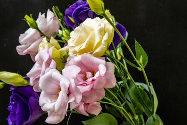 Mutluluk ve gül çiçekleri kapanıyor.