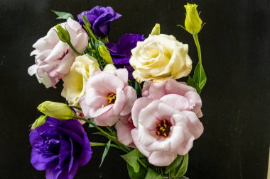 Mutluluk ve gül çiçekleri kapanıyor.