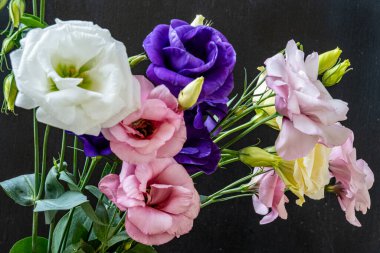 Mutluluk ve gül çiçekleri kapanıyor.