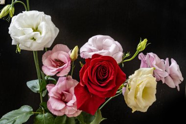 Mutluluk ve gül çiçekleri kapanıyor.