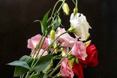 Mutluluk ve gül çiçekleri kapanıyor.