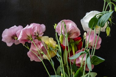 Mutluluk ve gül çiçekleri kapanıyor.