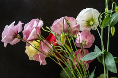 Mutluluk ve gül çiçekleri kapanıyor.