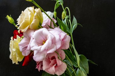 Mutluluk ve gül çiçekleri kapanıyor.