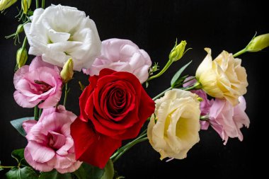 Mutluluk ve gül çiçekleri kapanıyor.