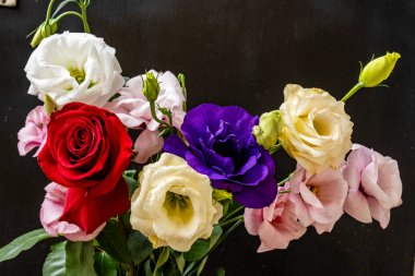 Mutluluk ve gül çiçekleri kapanıyor.