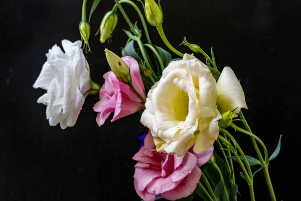 Mutluluk ve gül çiçekleri kapanıyor.