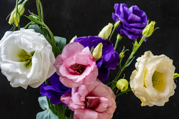 Mutluluk ve gül çiçekleri kapanıyor.