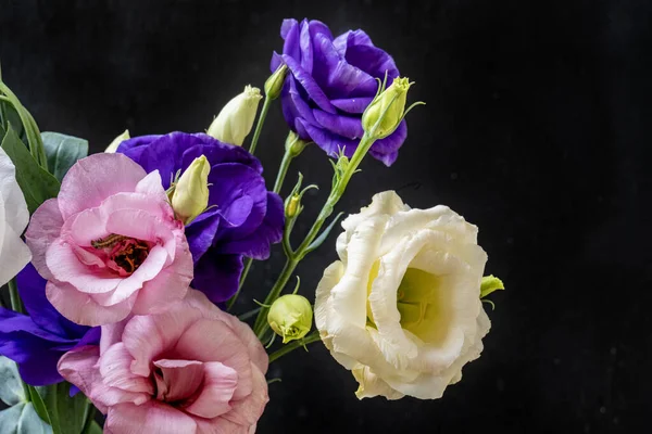 Mutluluk ve gül çiçekleri kapanıyor.