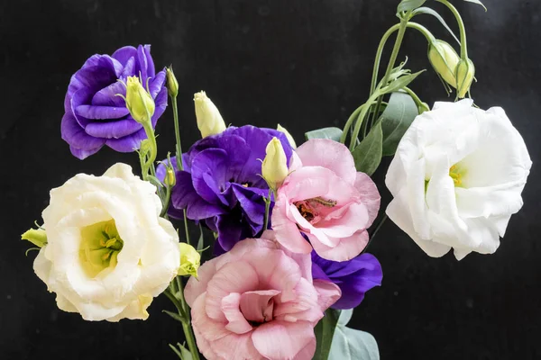 Mutluluk ve gül çiçekleri kapanıyor.