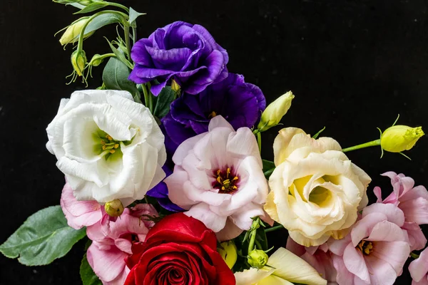 Mutluluk ve gül çiçekleri kapanıyor.