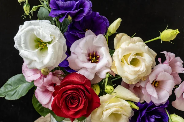 Mutluluk ve gül çiçekleri kapanıyor.