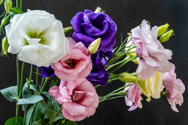 Mutluluk ve gül çiçekleri kapanıyor.