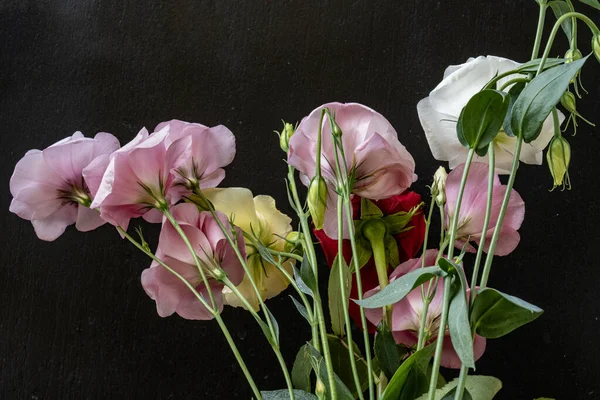 Mutluluk ve gül çiçekleri kapanıyor.