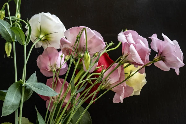 Mutluluk ve gül çiçekleri kapanıyor.