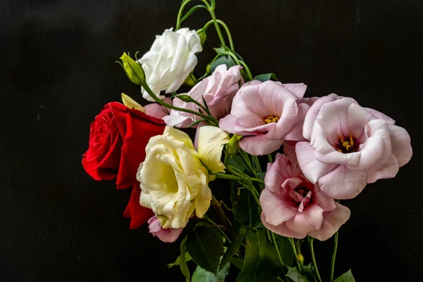 Mutluluk ve gül çiçekleri kapanıyor.